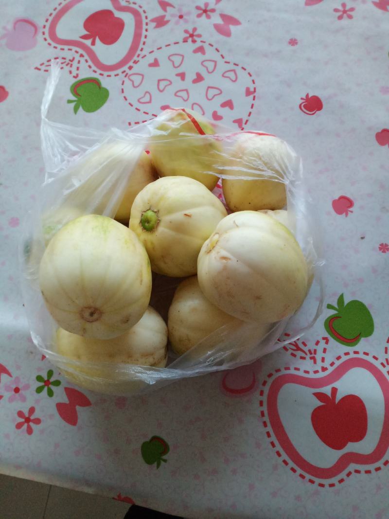 甜香瓜