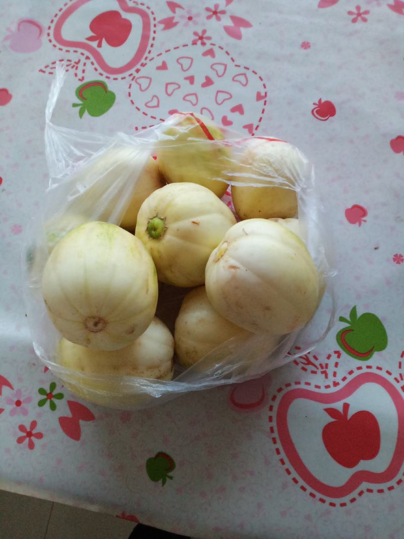 甜香瓜