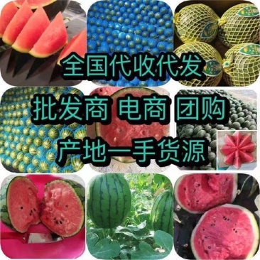 山东早春红玉西瓜，新鲜上市产地直发，质量保证视频看货