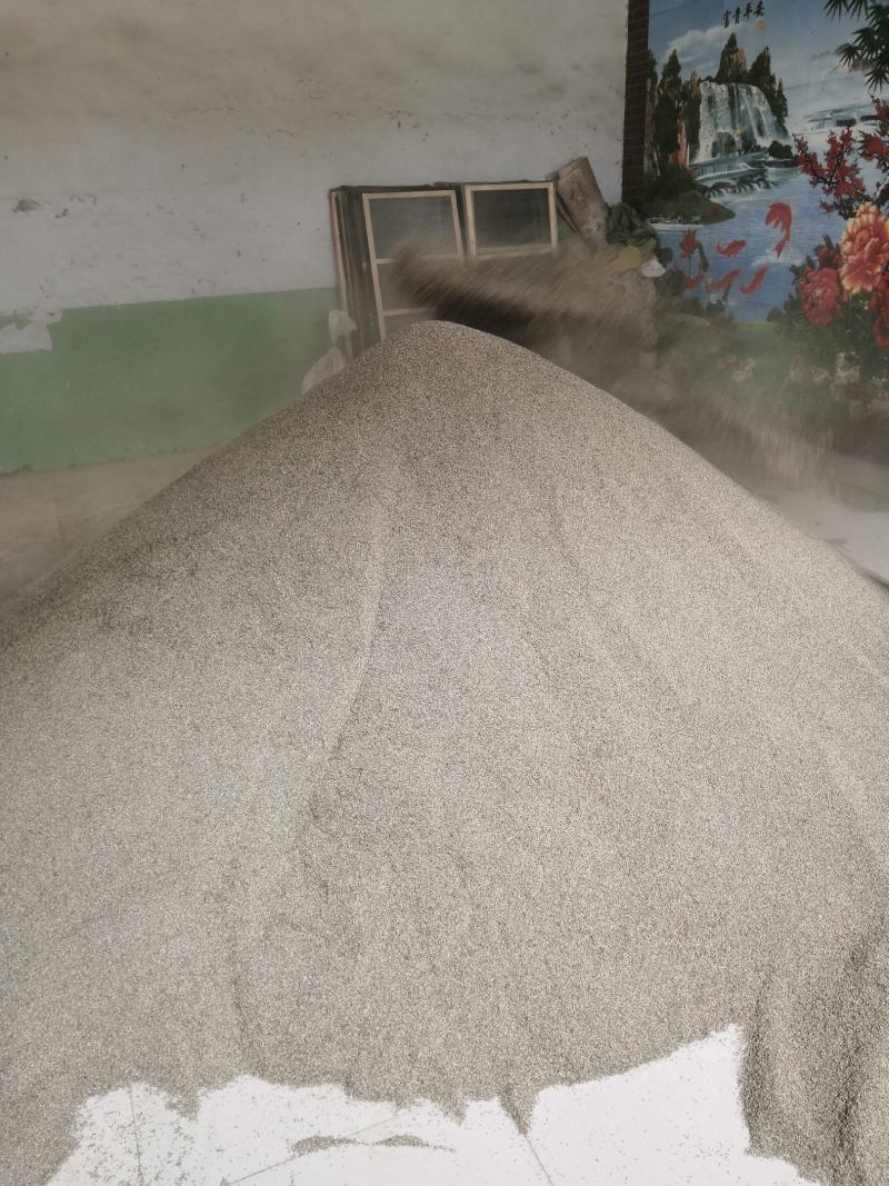 2020年产头茬精品远志种子发芽率高杂质少