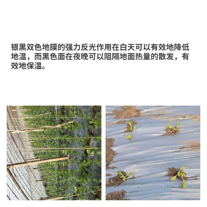 农用种植地膜白地膜黑地膜银黑反光驱虫除草地膜