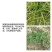 农用种植地膜白地膜黑地膜银黑反光驱虫除草地膜