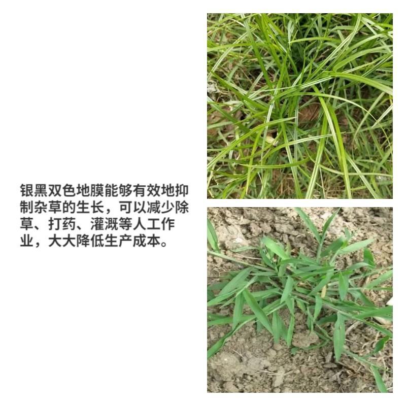 农用种植地膜白地膜黑地膜银黑反光驱虫除草地膜