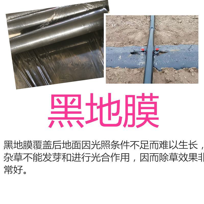 农用种植地膜白地膜黑地膜银黑反光驱虫除草地膜