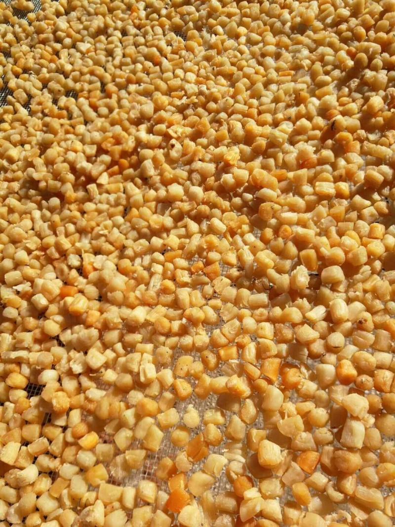 扇贝食用鲜活一斤10只