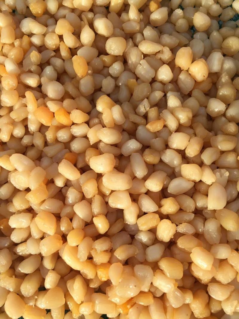 扇贝食用鲜活一斤10只