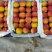 太平红杏，河滩沙土地，酸中带甜，肉厚甜核，汁水饱满