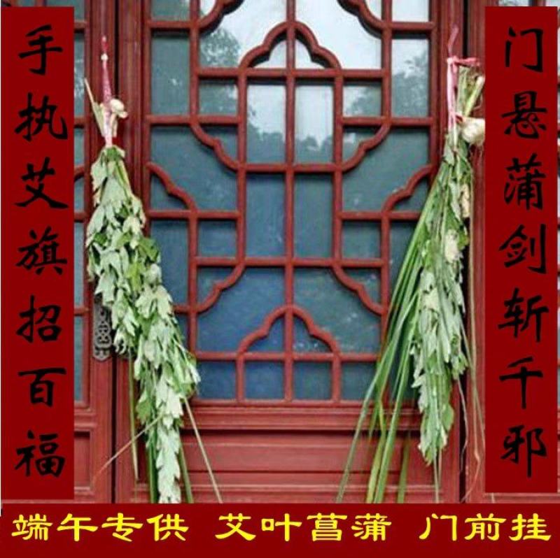 端午节艾草加菖蒲