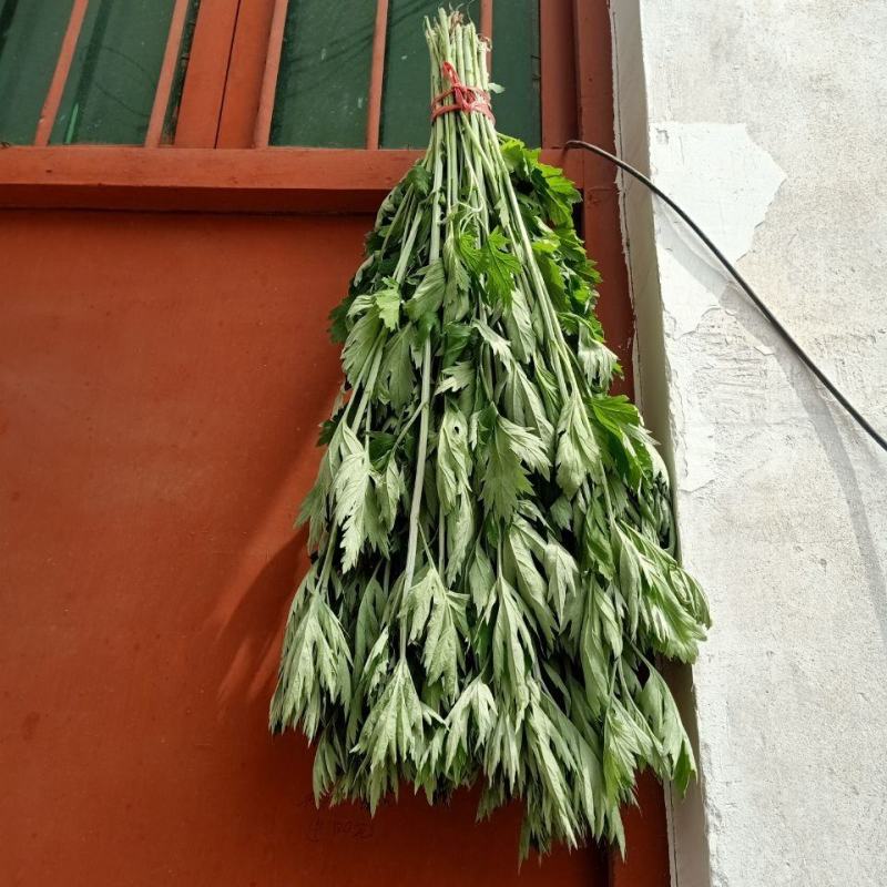 端午节艾草加菖蒲