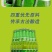 新疆乌苏啤酒夺命大乌苏620ml*12瓶绿乌苏新疆直发包