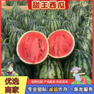 优质甜王西瓜，一手货源，销售全国，对接电商，代发全国