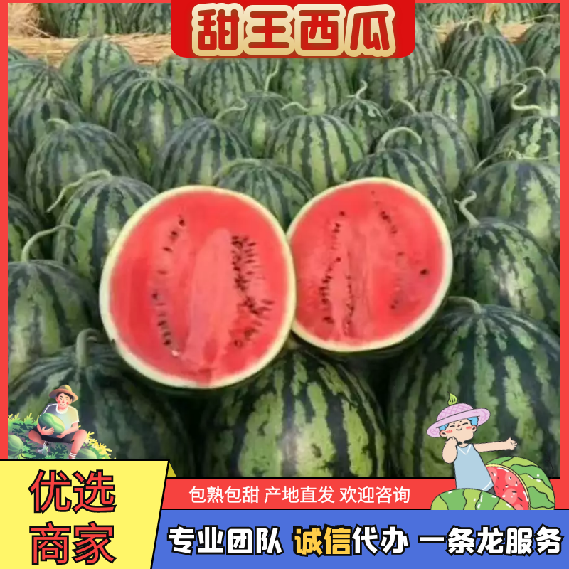 优质甜王西瓜，一手货源，销售全国，对接电商，代发全国