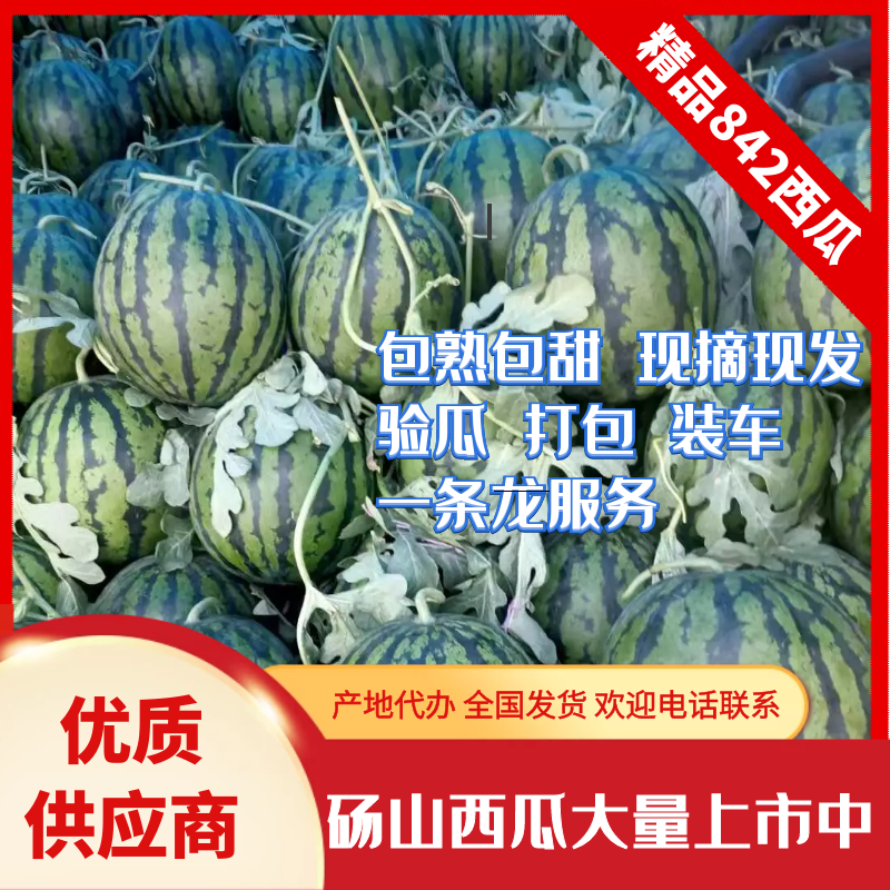 精品西瓜，美都，麒麟西瓜，直发产地，一手货源，销售全国