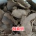 亚麻籽饼胡麻饼纯胡麻饼不掺假