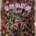 乌梅半梅旺梅酸奶梅玫瑰梅各种梅子肉无核蜜饯果干