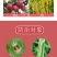 阿维菌素稻纵卷叶螟二斑叶螨水稻爆发性钻心虫杀虫剂