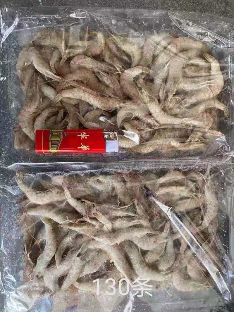 十板小毛虾厂家直销量大价优批发价