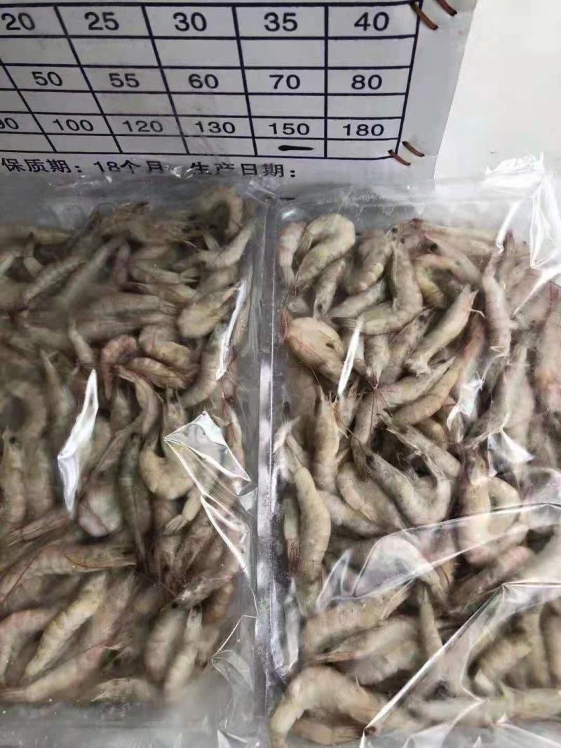 十板小毛虾厂家直销量大价优批发价