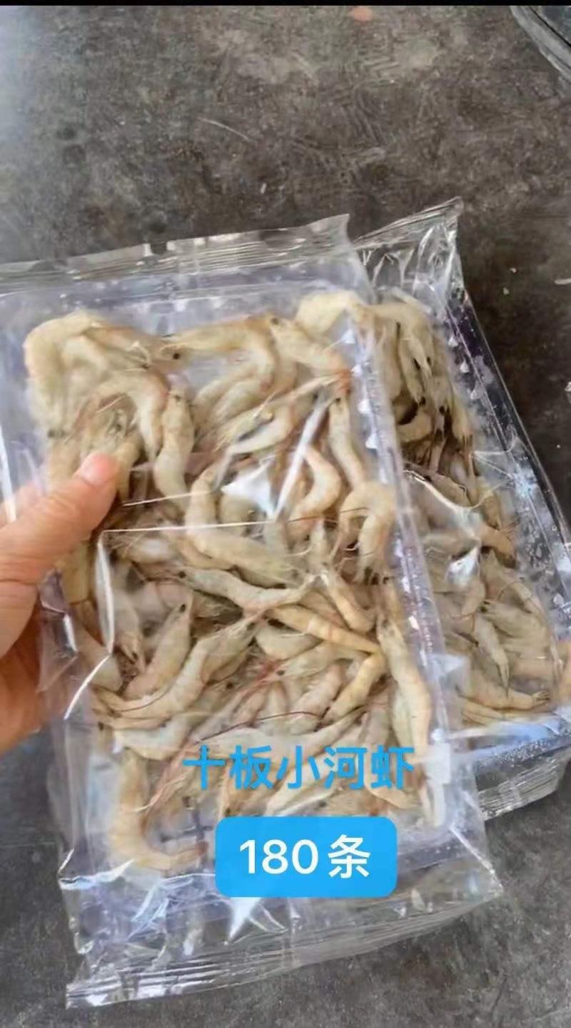 十板小毛虾厂家直销量大价优批发价