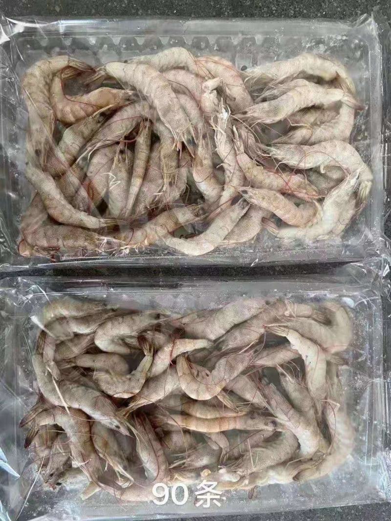 十板小毛虾厂家直销量大价优批发价