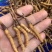 鲜虫草野生冬虫夏草我在产地严控品质产地直供