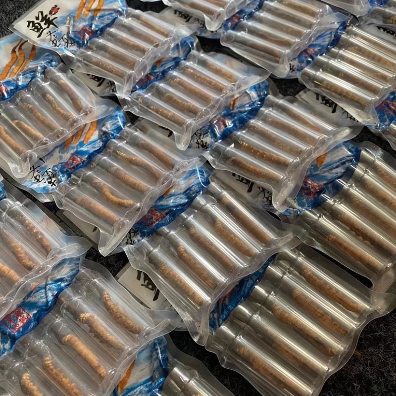 鲜虫草野生冬虫夏草我在产地严控品质产地直供
