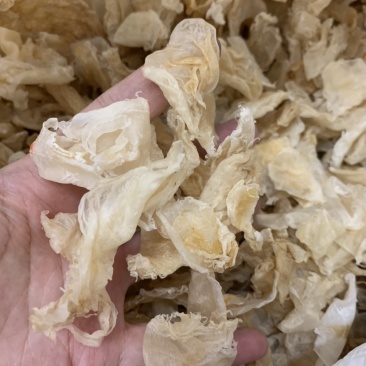 足干鸡蛋胶鱼胶胶质好适合做花胶冻高性价比