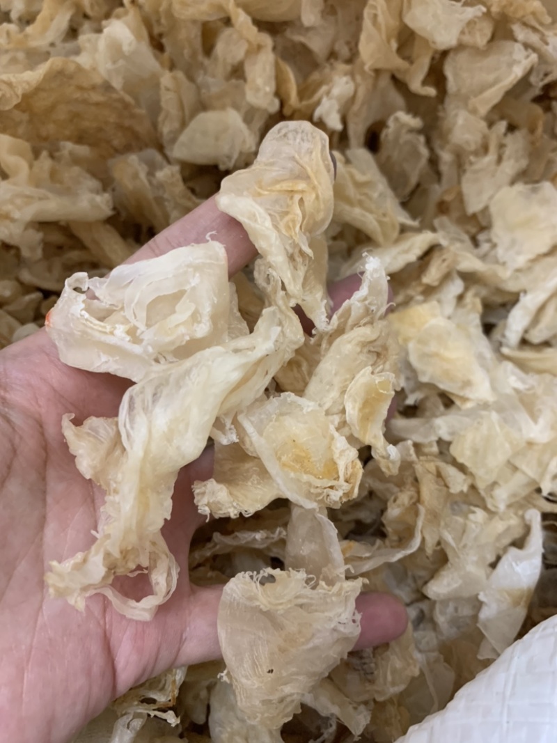 足干鸡蛋胶鱼胶胶质好适合做花胶冻高性价比