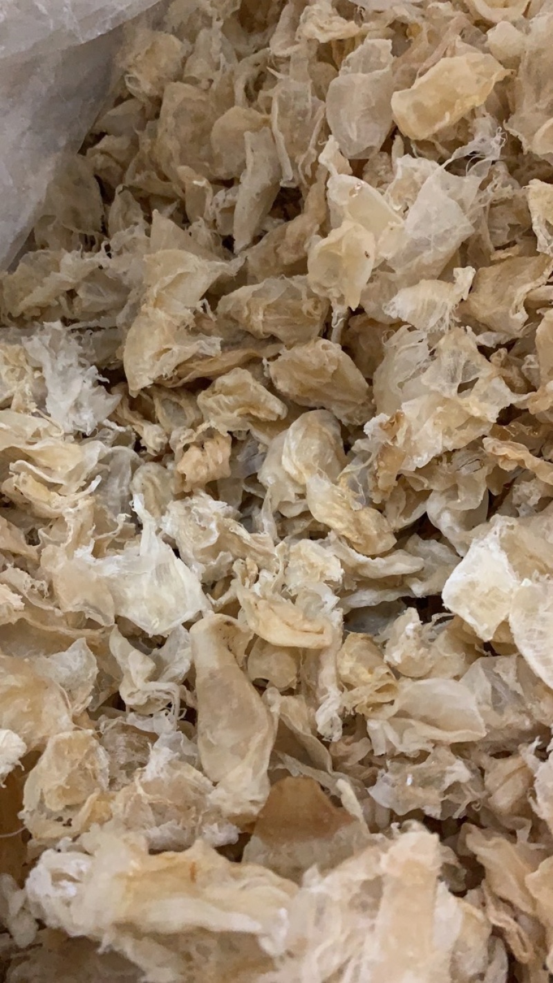 足干鸡蛋胶鱼胶胶质好适合做花胶冻高性价比
