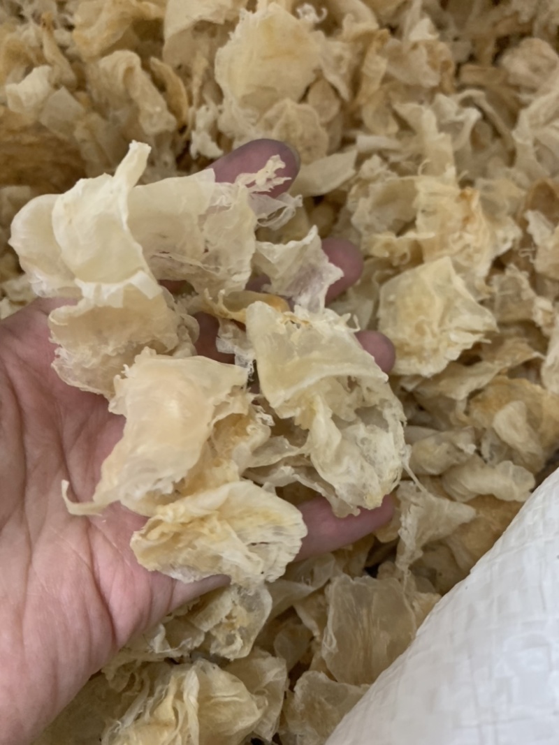 足干鸡蛋胶鱼胶胶质好适合做花胶冻高性价比