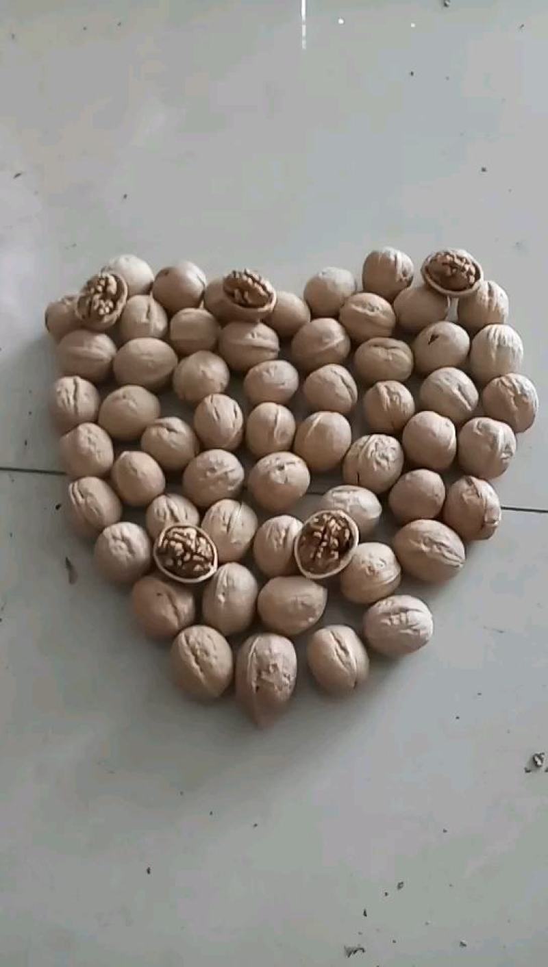 新疆薄皮核桃185纸皮核桃对接电商批发零售一手货源可代发