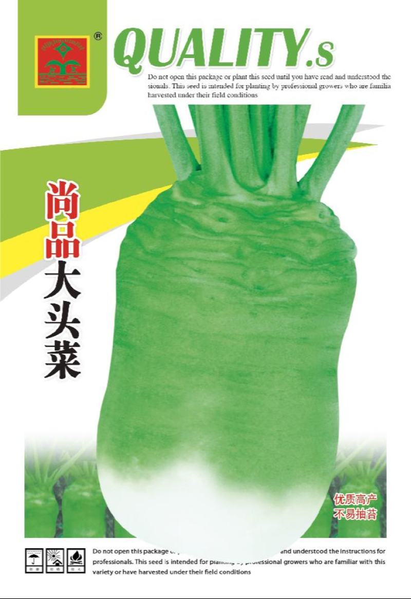 优质尚品大头菜种子菜头种子亩用种量5袋抗病