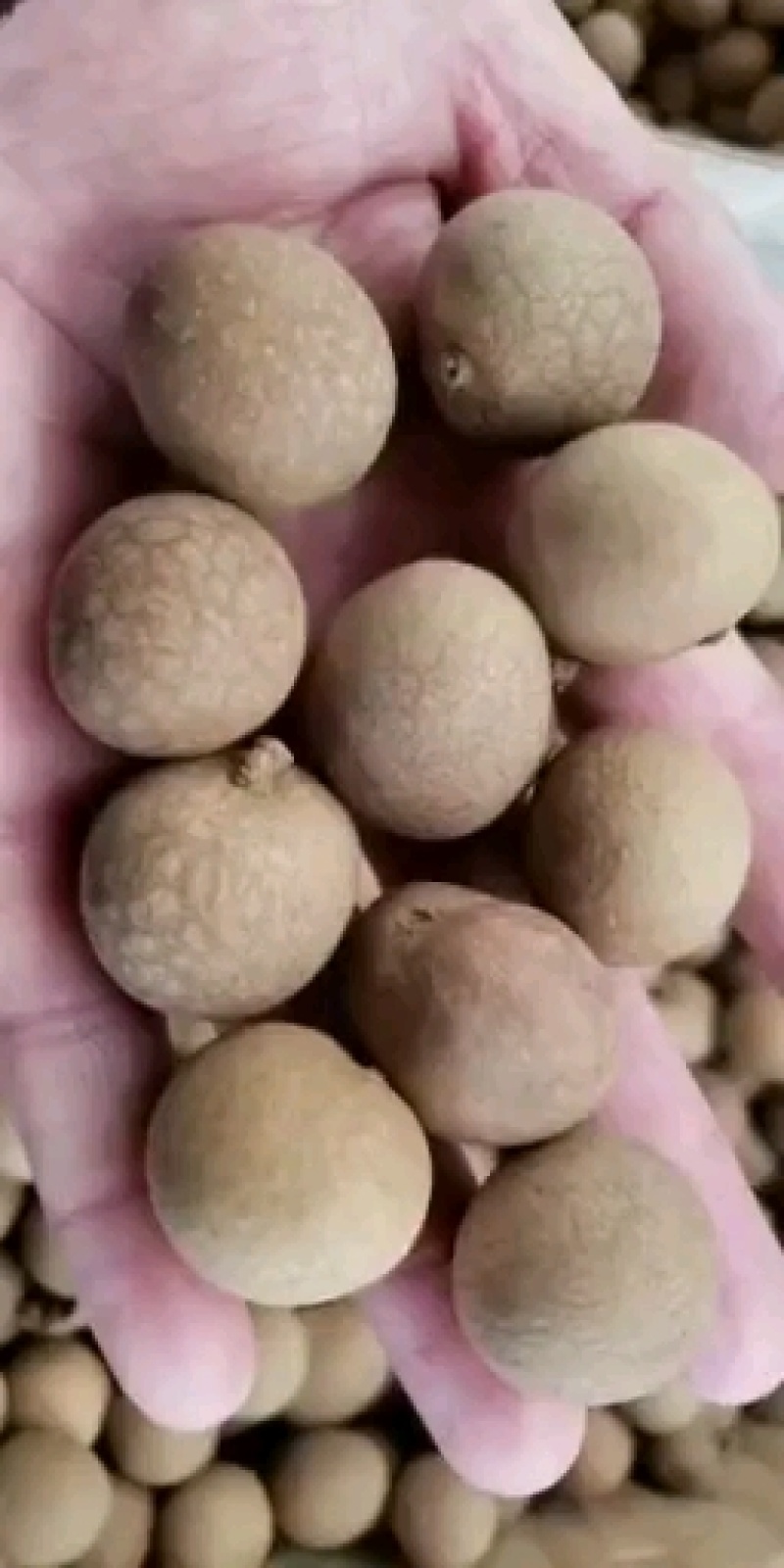 电商对接桂圆干龙眼干肉厚核小规格齐全品质保证