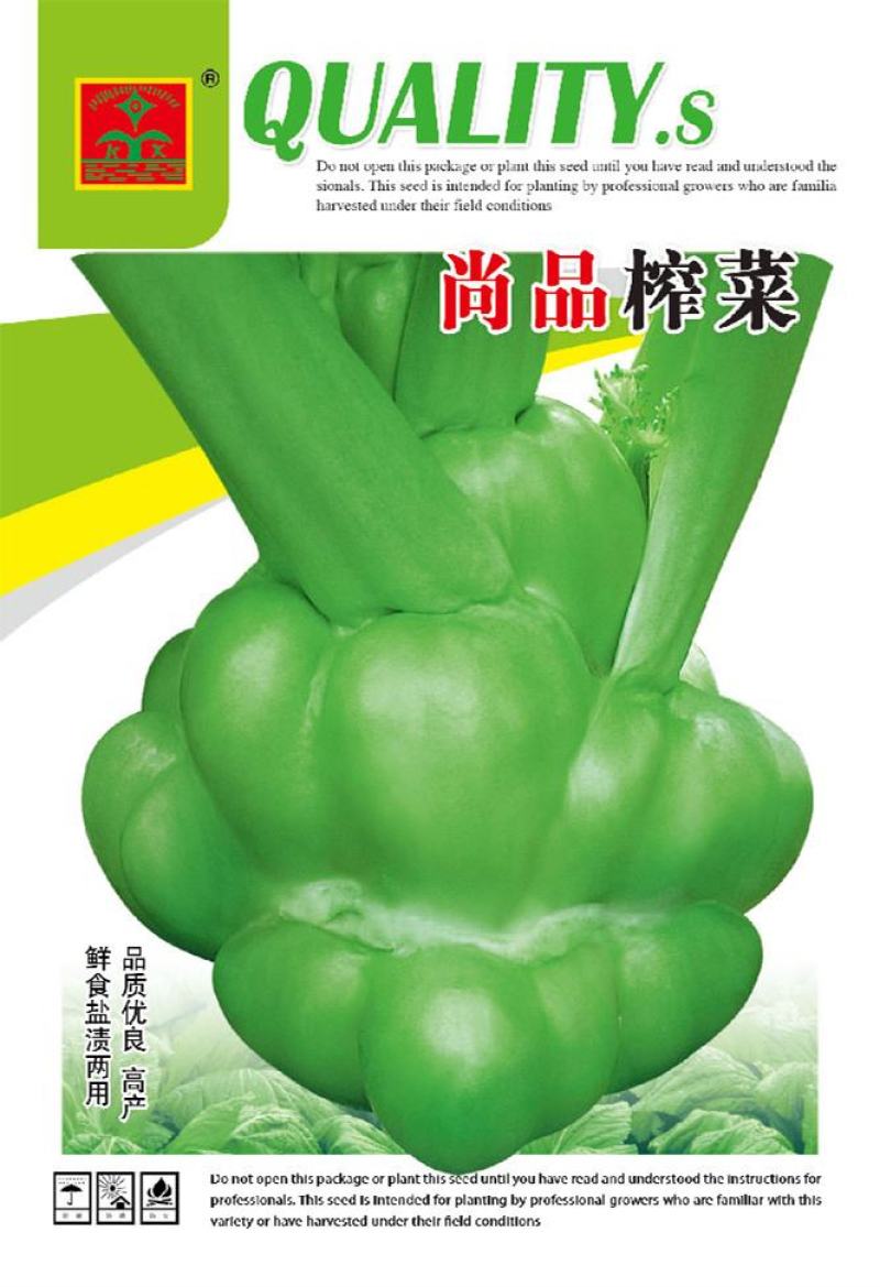 优质小叶榨菜种子鲜食盐渍两用鼓包菜头种子