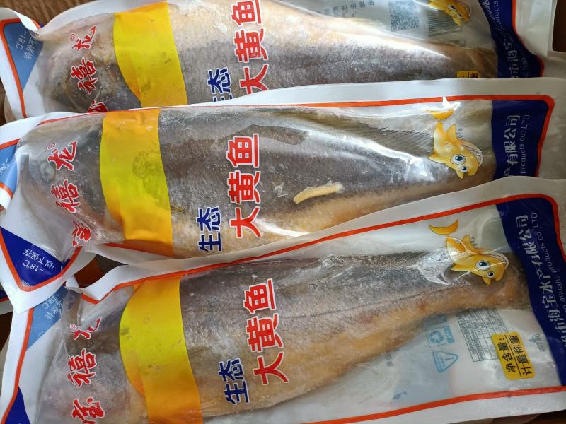 大黄花鱼一条1.1斤质量好