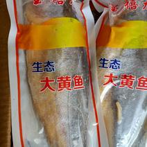 大黄花鱼一条1.1斤质量好