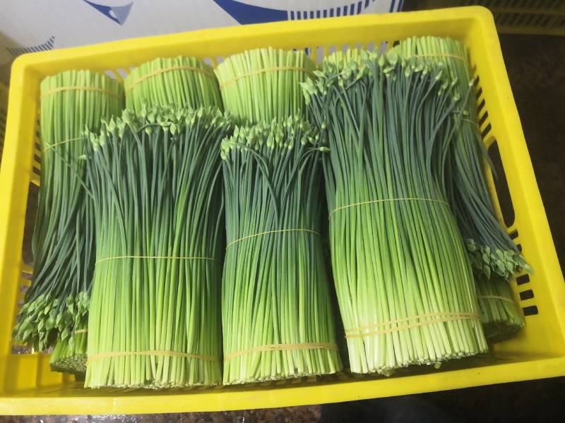 广西苔小哥韭菜花
