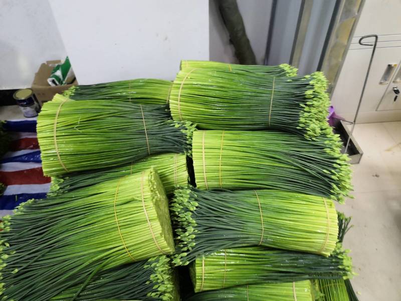 广西苔小哥韭菜花
