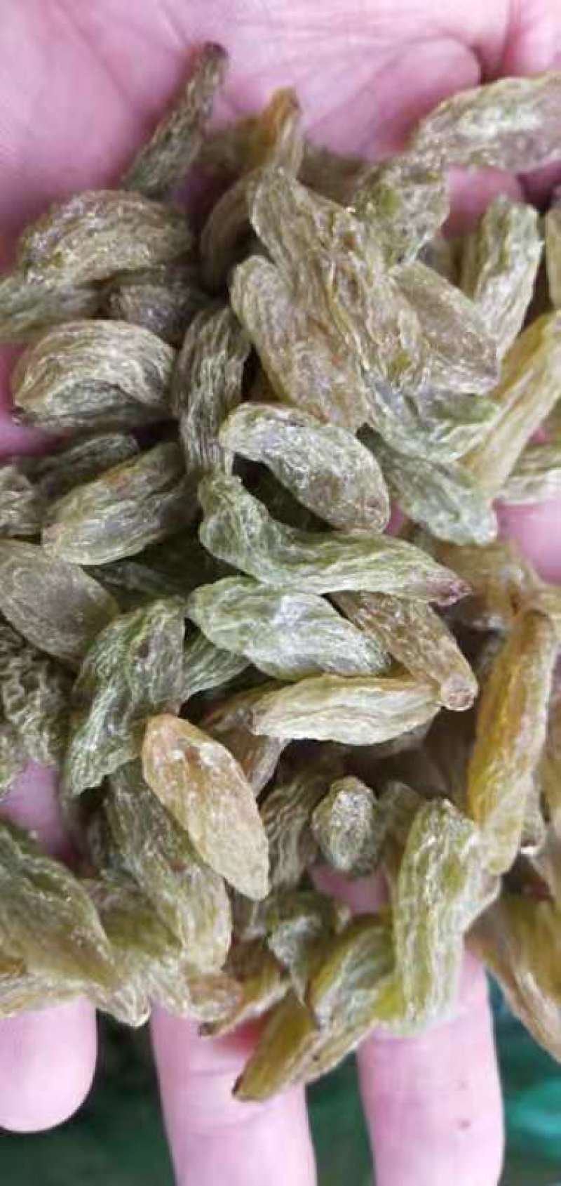 电商拼多多橙心优选平台直供葡萄干