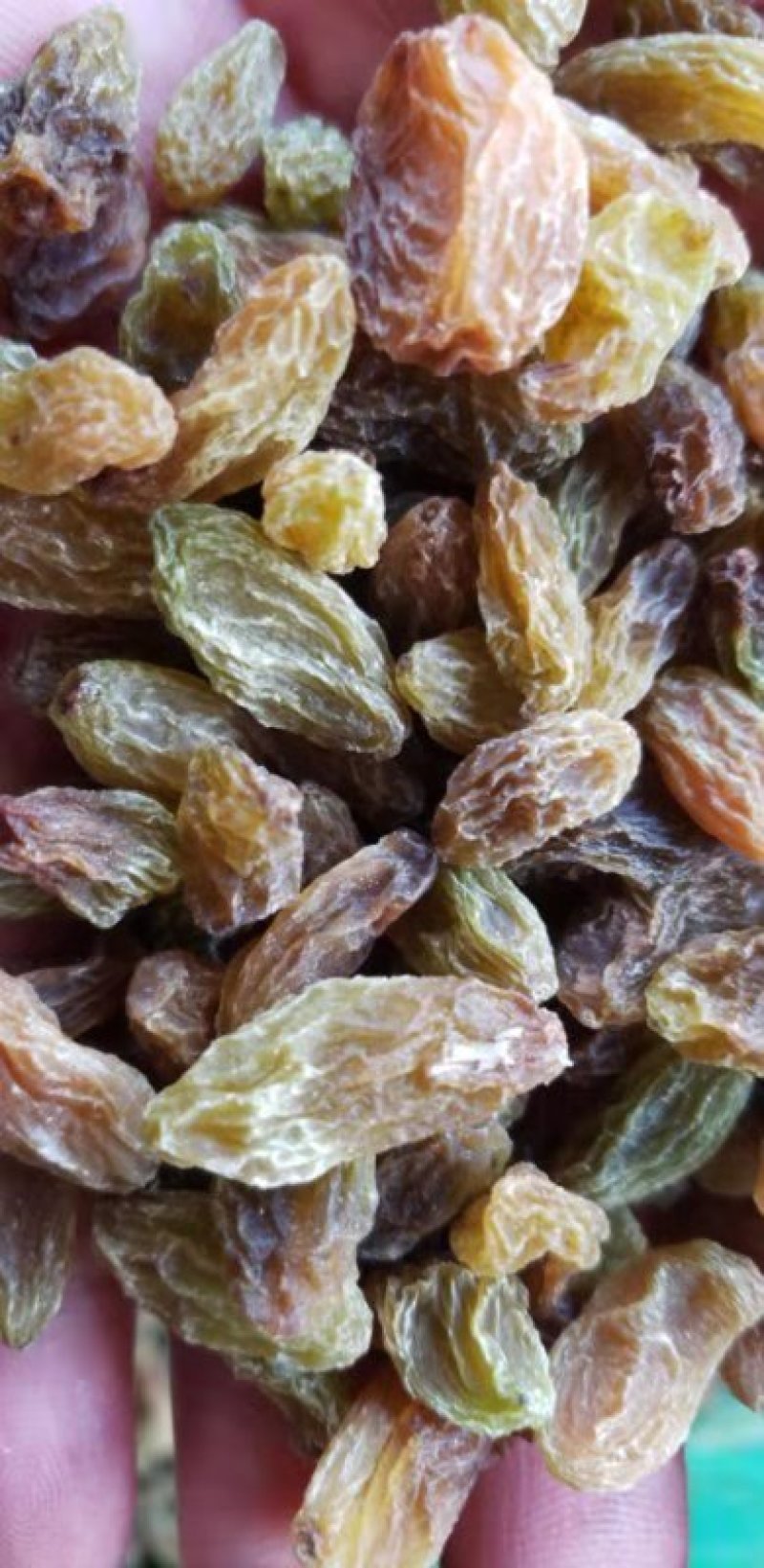 电商拼多多橙心优选平台直供葡萄干