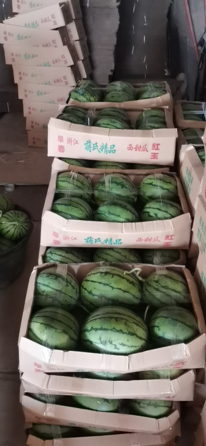 【蒋氏精品家秀6号】甘美4K产地直销量大从优