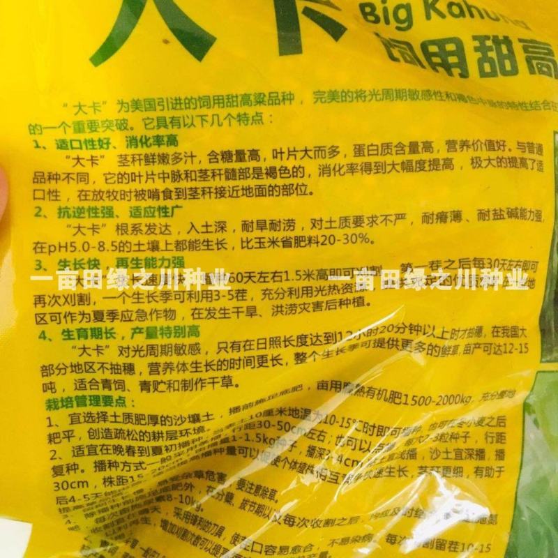 进口牧草种子大卡饲用甜高粱种子含糖量高耐旱耐涝耐盐碱