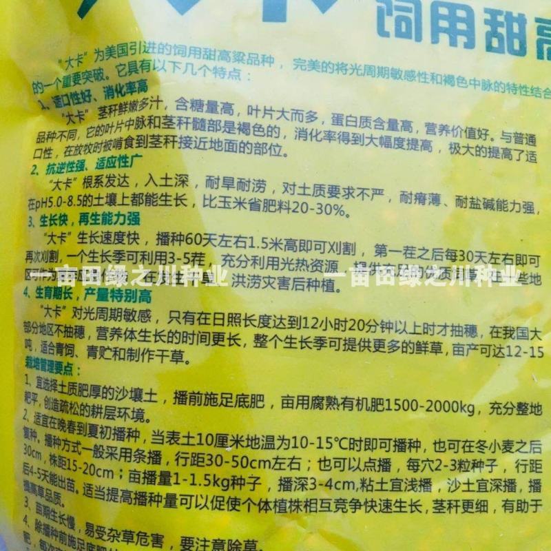 进口牧草种子大卡饲用甜高粱种子含糖量高耐旱耐涝耐盐碱