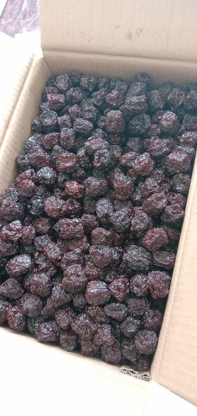 紫晶枣乌枣现货现发产地直供品质超好质优价廉