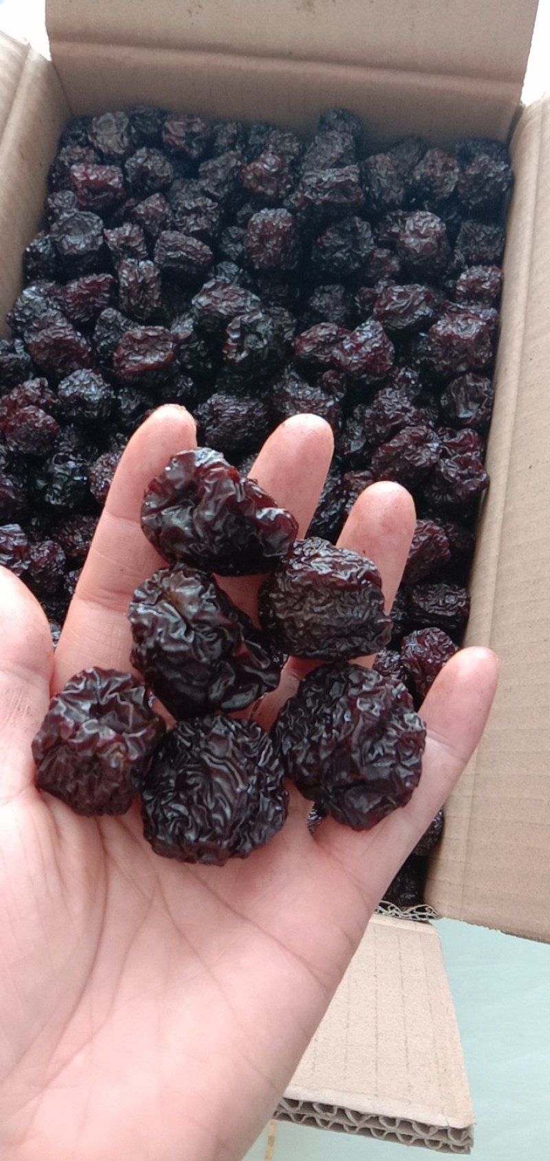 紫晶枣乌枣现货现发产地直供品质超好质优价廉