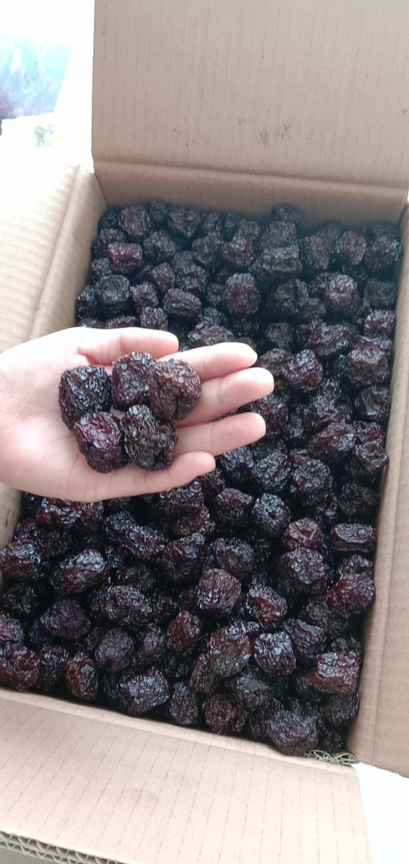 紫晶枣乌枣现货现发产地直供品质超好质优价廉
