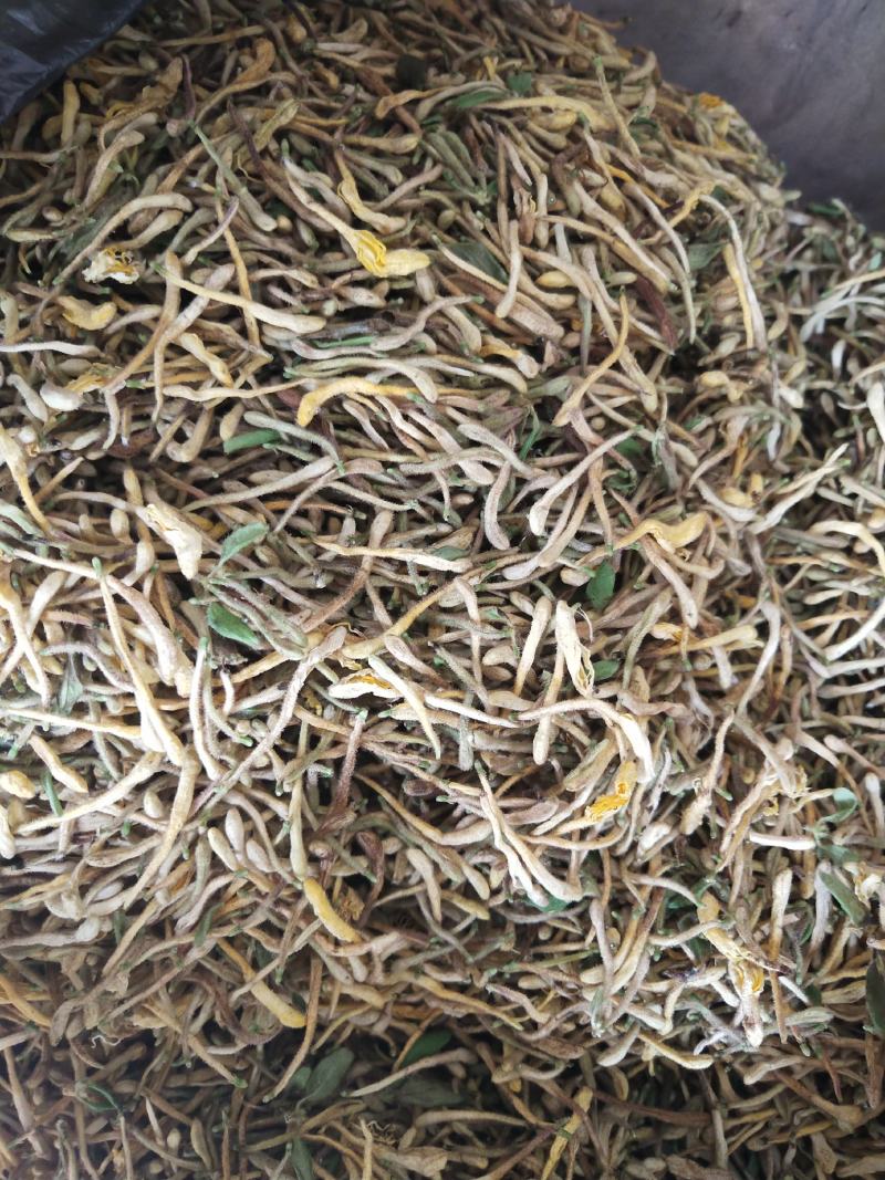 金银花湖北高山野生带毛金银花阳光生晒金银花干货纯手工采摘