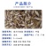 金大头鱼苗金鳙鱼苗金鲢鱼苗金胖头鱼苗