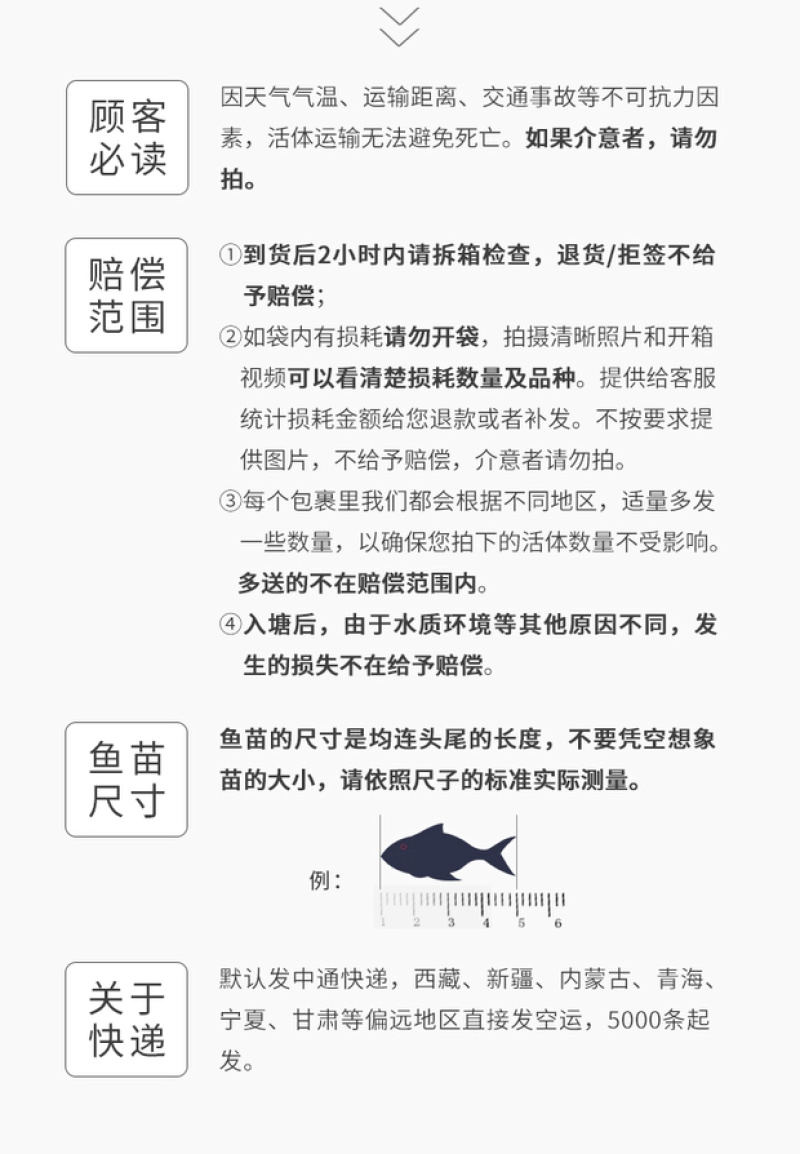 金大头鱼苗金鳙鱼苗金鲢鱼苗金胖头鱼苗