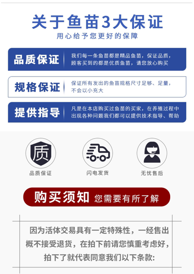 金大头鱼苗金鳙鱼苗金鲢鱼苗金胖头鱼苗